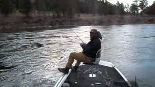 Fly Fishing Big Rainbow Trout in Montana with Brad Hanzelwmv [upl. by Liebermann973]