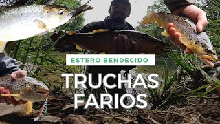 MARAVILLADO CON ESTE NUEVO SPOT DE PESCA 🎣🙌 PESCA EN PEQUEÑO ESTERO CON EQUIPO ULTRA LIGERO 🔥 [upl. by Nuris748]