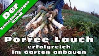 Porree Lauch erfolgreich im Garten anbauen [upl. by Tfat]