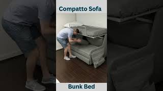 Is Compatto Really the Best Sofa Bunk Bed for Small Spaces shorts [upl. by Aehs918]