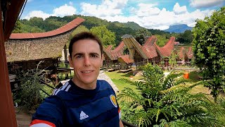 60 Village Homestay in Toraja Indonesia 🇮🇩 [upl. by Ecinrahs]