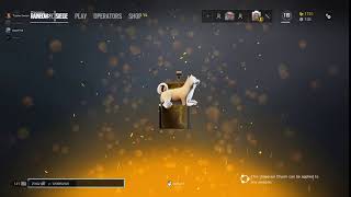 Doge Charm R6 WoW [upl. by Maillij]