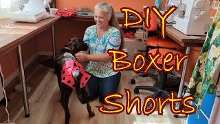 DIY Boxer Shorts Puppy PeriodSanitary Pants Homemade Nappy Diaper for your Female Dog in Heat [upl. by Rachael]