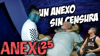 Anexo 25 │ Christian Meza [upl. by Aivatal]