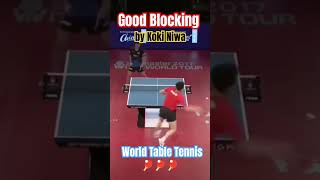 Good Blocking worldtabletennis pingpong tabletennisplayer tabletennis tenisdemesa video [upl. by Jerusalem]