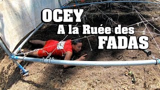 VLOG  Ocey fait la Ruée des Fadas [upl. by Mure]