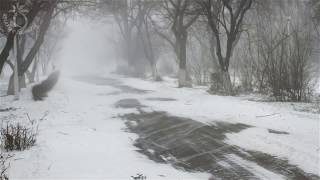 💨 Winter Storm Ambience with Howling Blizzard and Drifting Snow on an Abandoned Road in Norway [upl. by Naujek]