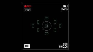 Camera Shutter Sound Effects HD [upl. by Nicolais]