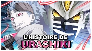 Histoire de Urashiki Ôtsutsuki Boruto [upl. by Affra]