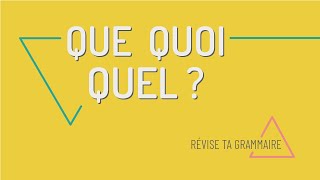 Révise ta grammaire  poser des questions en français avec que quoi quel [upl. by Levona879]