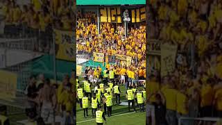 DYNAMO DRESDEN VS RÖDINGHAUSEN  DYNAMO ULTRAS SCHLAGEN AUF ORDNER EIN  DFB POKAL [upl. by Oakes959]