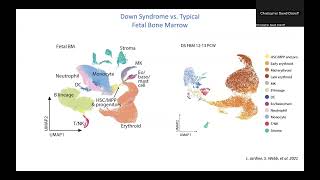 Single Cell Sequencing [upl. by Aicitel31]