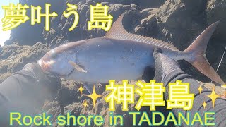 【ロックショアの夢】神津島！カンパチ、キハダマグロが釣れる沖磯in祇苗島 [upl. by Cousin]