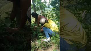 Paa sa damo khemyattv funny comedyclips justforfun comedyvideos justlaughtrip funnyvideos [upl. by Yasmar515]