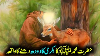 Hazrat Muhammad Ki Bakri Ke Dudh Dhone Ka Waqia Seerat Nabi Part 5Islamic Sachy Qissa [upl. by Ifill]