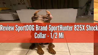 Review SportDOG Brand SportHunter 825X Shock Collar  12 Mile Range  Dog Training Collar with Shoc [upl. by Arias448]