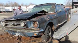 Not even a barn find A FOREST find K Code Raven Black 4 speed convertible saved after 50 years [upl. by Innavoj]