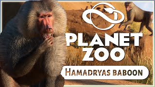 New Hamadryas Baboon  Planet Zoo Zookeepers Animal Pack  Screenshot Reveals [upl. by Abott]