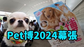 【Pet博2024幕張】ララちゃん🐶初めて行ってきました🐶怖いんだ💦 [upl. by Licht]