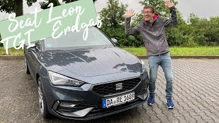 Günstig mit Erdgas fahren Seat Leon 15 TGI DSG 130 PS200Nm 4K  Autophorie [upl. by Nitnert]