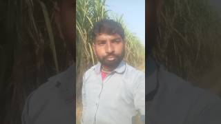 Chicken Song  Murga Song KU KU Murga Dance OfficialVideoDj SongFarmani Naaz youtubevideos [upl. by Lenahtan]