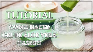 Tutorial Cómo hacer gel de aloe vera casero fácil y rápido [upl. by Nyvets902]