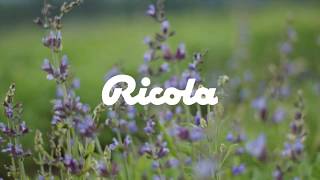 إعلان ريكولا للشرق الاوسط  AE  RICOLA [upl. by Lita279]