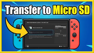 How to Transfer Nintendo Switch SD Card Data to a New SD Card [upl. by Tirza]