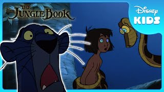 🌟 Bagheera Saves Mowgli  Jungle Book  Disney Kids [upl. by Ermanno]