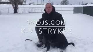 SMOJS Accelerant Detection K9 Stryker [upl. by Anivel]