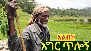 ✅ እግር ጥሎኝ ከአንድ አባት ጋር በመይባር ሀይቅ ዳርቻ ያሳለፍኩት ጊዜ tossatube wollo trip [upl. by Martino190]