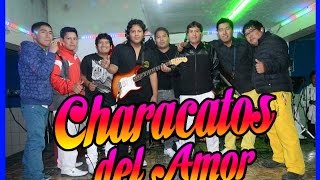 â˜†Characatos del amor âœ” NOCHE DE AMARGURA exclusivo 2015 oficialâ˜† [upl. by Huntingdon]