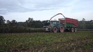 ensilage de sorgho 2012  avec ensileuse claas 940 [upl. by Nossila657]