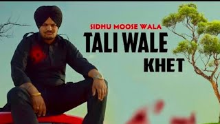 Tali Wale Khet Sidhu Moose Wala Official Video Sidhu Moose Wala New Song Siva Jatt Da new [upl. by Gill]