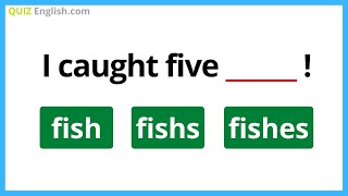 SINGULAR vs PLURAL NOUNS [upl. by Yliah]