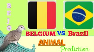 Prediksi BRAZIL vs BELGIA Bersama Burung Perkutut  World Cup 2018  Animal World Cup Prediction [upl. by Corrine]