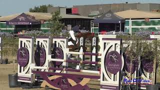 331S Isabelle Franchini on Improvisor Open Starter Show Jumping Woodside October 2024 [upl. by Prima]