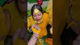 Haldi ceremony 2024 211124 shaadi wedding ceremony [upl. by Gibe580]