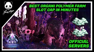 The Best Location To Farm ORGANIC POLYMER  Slot Cap In Minutes  ARK Survival Ascended [upl. by Hali]