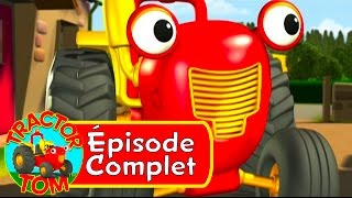 Tracteur Tom  12 La Chasse Au Trésor épisode complet  Français [upl. by Ynffit]