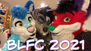 FURRY CONVENTION CHAOS 😈  Biggest Little Fur Con 2021 Vlog [upl. by Revlys50]