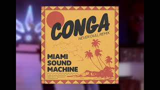 Miami Sound Machine  Conga Never Dull Remix [upl. by Janaye725]