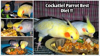 Cockatiel Bird Food   Cockatiel Diet  In Hindi [upl. by Haseefan326]