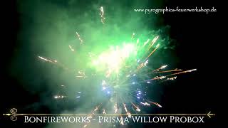 Bonfireworks  Prisma Willow Probox [upl. by Maurilla650]