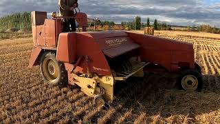 tryout NEW HOLLAND HAYCRUIZER 1282  Self Propelled HAY Baler [upl. by Hoem]