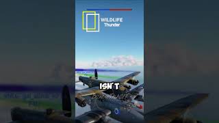 Bomber mating on Wildlife Thunder warthunder shorts memes [upl. by Kado]