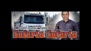 SOFERIE SOFERIE COLAJ PENTRU SOFERI MUZICA SORINEL DE LA PLOPENI 2017 [upl. by Cybill]