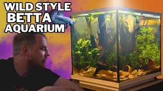 Setting up an EASY natural Betta aquarium low tech botanical aquascape tutorial [upl. by Sheldon]