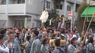 令和５年 浅草『三社祭』＜本社三之宮神輿＞【迫力】（浅五会・浅草象三）町会＝渡御 [upl. by Krock]