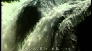 Vasudhara Falls  Saraswati river disappears into chasm and reappears at Allahabad [upl. by Conrado]